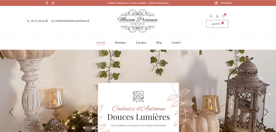 Site internet Maison Précieuse